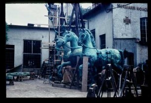 Quadriga-Pferde b. Noack 30.7.58.
