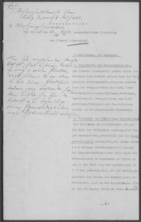 Schweindorf mit Neresheim und Diaspora: Pfarrbericht 1928
