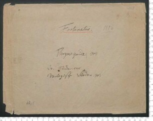 Fortunatus.