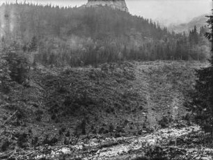 Gerodeter Wald : Blick auf einen gerodeten Wald