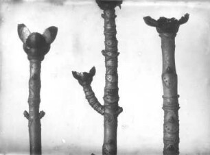 Bergahorn (Acer pseudoplatanus) und Rosskastanie (Aesculus hippocastanum), Äste mit Blattnarben und aufgebrochenen Enden
