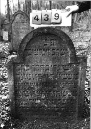Grabstein 439 (Index: 99752767) Material: Sandstein Zustand: leicht verwittert/Stele eingesunken Maße HxBxT: 90x70x10 cm Beschreibung: Stele, eingezogener Rundbogenabschluß, Schriftfeld eingetieft: Grabstein 439