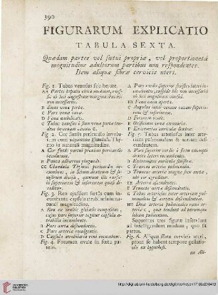 Figurarum Explicatio Tabula Sexta