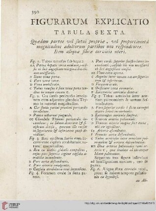 Figurarum Explicatio Tabula Sexta