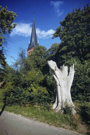 DDR. Ahlbeck. Weg mit abgestorbenem Baum. Blick zum Kirchturm