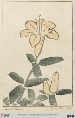 Heft 4 (Januarheft 1924)