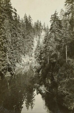 Elbsandsteingebirge. Obere Schleuse in der Kirnitzsch bei Hinterhermsdorf