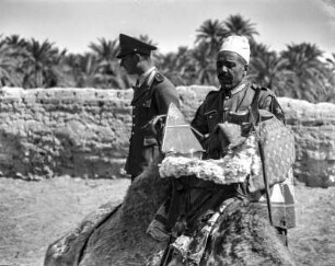 Kamelreiter : Ein Mann sitzt auf ein Kamel auf, daneben ein Soldat.