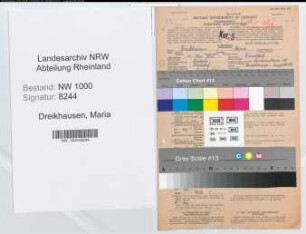 Entnazifizierung Maria Dreikhausen, geb. 18.05.1913 (Vers.Angest.)
