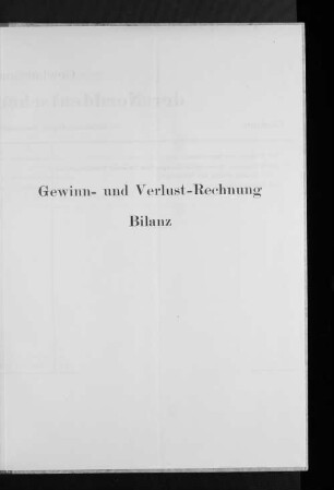 Gewinn- und Verlust-Rechnung / Bilanz