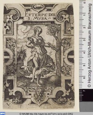 Euterpe