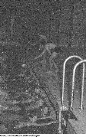 Schwimmkurse, Juli 1951