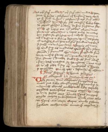 Thema principium huius tractatuli [Flos Florum]