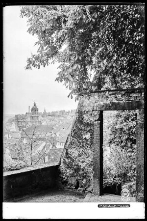 Meißen, Blick vom Burgberg auf die Dächer der Altstadt und die Frauenkirche