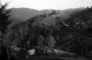 Serpentine und Kühe mit Landschaft bei Stohren