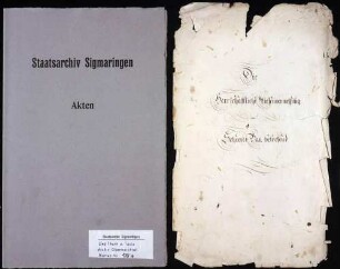 herrschaftliche Wiesenvermessung im Scheerer Bann Maßstab ca. 1 : 4000 Zeichner: Gönner col. handgez.