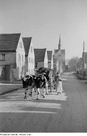 Blick in eine Dorfstraße mit einem Fuhrwerk und einer Kirche im Hintergrund
