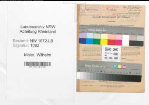 Entnazifizierung Wilhelm Meier , geb. 28.07.1878 (Landwirt)