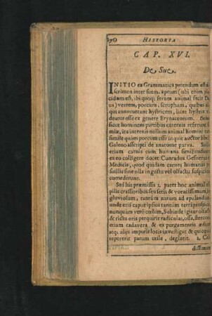 Cap. XVI. De Sue.