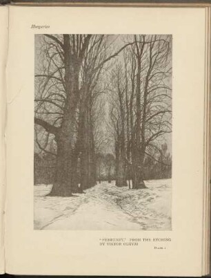 Abbildungen [Pl. 1 - 10]