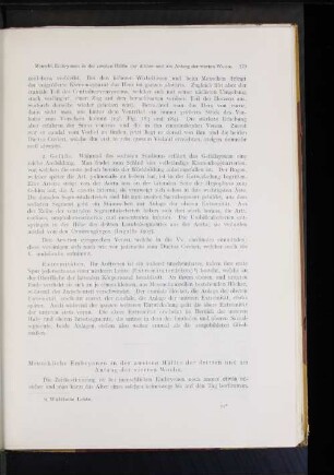 Menschliche Embryonen in der zweiten Hälfte der dritten und am Anfang der vierten Woche.