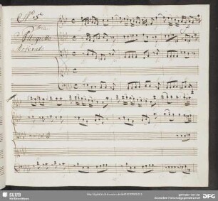 No. 5 Aria: Voi non sapete quanto