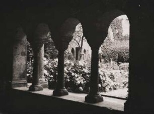 Bonn. Bonner Münster. Blick aus dem rund 900 Jahre alten Kreuzgang in den Innenhof. Er ist der am vollständigsten erhaltene romanische Kreuzgang nördlich der Alpen und des Rheinlands.