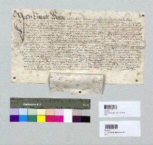 Margarethe, Witwe des Konrad Wegerer zu Allersburg, bittet Joachim d.J. von Hausen, Pfleger zu Hohenburg, um Besiegelung der Urkunde vom 28. März 1605. Transfix an Urkunde vom 28. März 1605 geheftet.