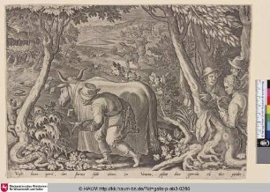 [Partridge hunt with help of camouflage; Verdeckte Rebhuhnjagd]