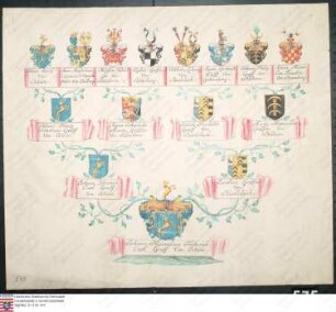 Ahnenprobe des Johann Maximilian Friedrich Karl Graf v. Ostein