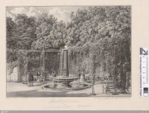 Fontaine am Conversationssaal in Wildbad