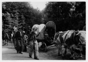 Felsenbühne Rathen. "Der Schatz im Silbersee" von Karl May. Aufführung 1941 oder 1942 (1940: Wild-West-Spiele nach Karl May mit "Schatz im Silbersee" und "Ölprinz" mit dem Zirkus Sarrasani)