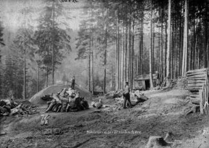 Kohlenmeiler : Standort gegenüber vom Sommerstein, in der Nähe führt der Meilerweg vorbei