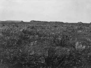 Steppe : Steppe vor den Badlands am Little Missouri River