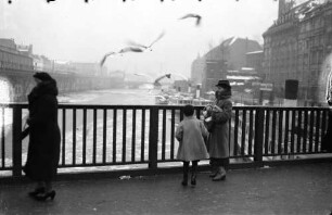 Berlin: Spree von der Jannowitz Brücke: Möwen füttern