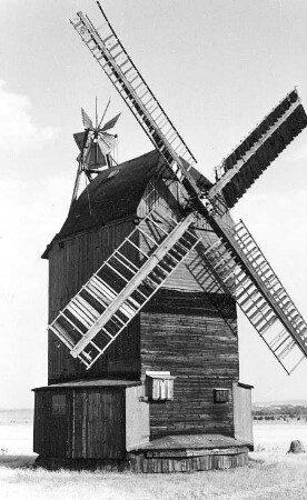 Jesewitz-Gallen. Eckard Mühle, Paltrockmühle (1924 umgebaute Bockmühle)
