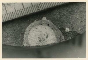 Bohrkern der Tiefenbohrung Freital (F 9), Teufe (Tiefe im Bergwerk) 60,20-64,10 m. Untere Wechselhafte Bänke; Bleichhof mit doppeltem Hof in feinkörniger Arkose. Bannewitz-Boderitz, Bohrpunkt südlich des letzten Hauses, östlich der Straße zum Marienschacht