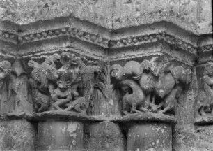 Basilisk und Greife