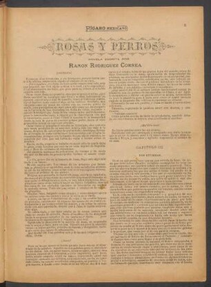 Capítulo III. - Dos enemigos.