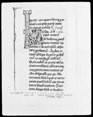 Bernardus, Sermones in Contica Canticorum — Initiale H(odie vobis), Folio 17recto