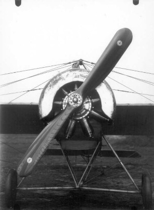 Eindecker-Flugzeug mit Propellerantrieb (um 1910/1914), eingesetzt von den deutschen Luftstreitkräften im I. Weltkrieg. Propeller
