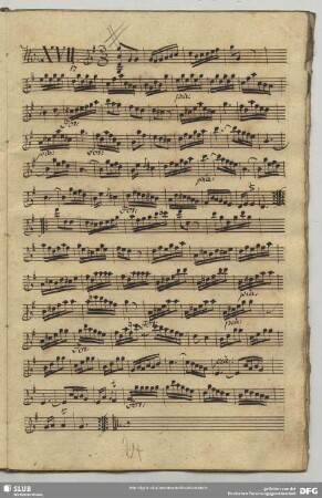 17. Anonymus, Instrumentalstücke, G-Dur