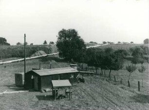 Rheindüker, 1955-1969
