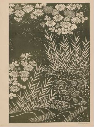 Plate 50