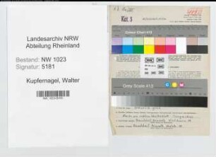 Entnazifizierung Walter Kupfernagel , geb. 15.11.1899 (Schlosser)