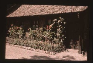 Fotografie: Hausansicht mit Vegetation