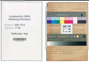 Entnazifizierung Karl Welfonder , geb. 29.11.1891 (Ingenieur)