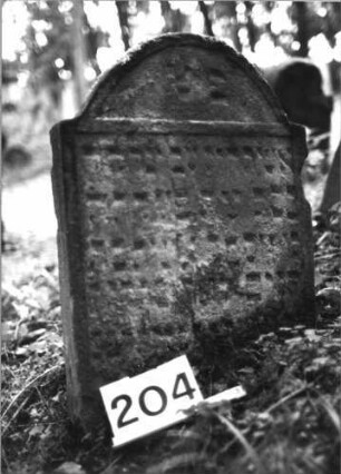 Grabstein 204 (Index: 99803274) Material: Sandstein Zustand: stark verwitt/eingesunken Maße HxBxT: 62x49x10 cm Beschreibung: Stele mit Karniesbogen und Inschriftenfeld: Grabstein 204