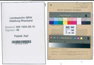 Entnazifizierung Karl Patzelt , geb. 04.06.1888 (Labor Vorstand)