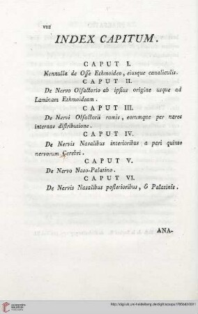 Index capitum